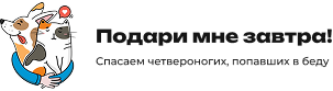 «Подари мне завтра»